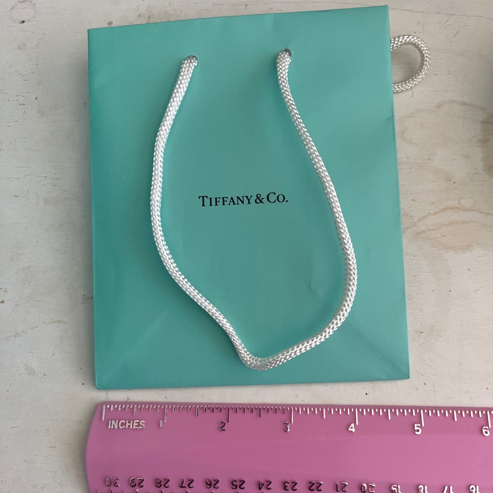 Authentic Tiffany & Co turquoise bag